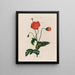 Een monstermoestuin Poppy - Robert John Thornton — ingelijst kunstwerk aan de muur