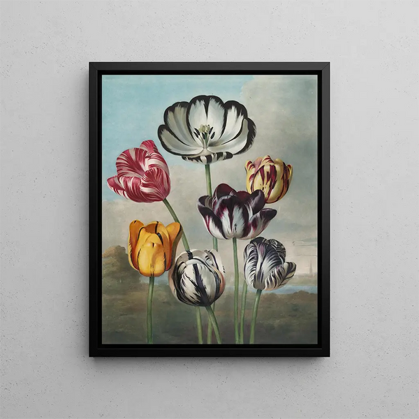 Een groep tulpen (conflict van hoofdletters) - Robert John Thornton — ingelijst kunstwerk aan de muur