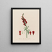 Antirrhinum majus of grote mond van de wolf - Robert John Thornton — ingelijst kunstwerk aan de muur