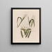 Oats - Robert John Thornton — framed artwork on a wall