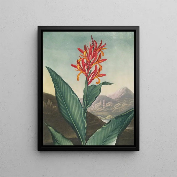 Rozenboom Indiaas (conflict de cas) - Robert John Thornton — ingelijst kunstwerk aan de muur