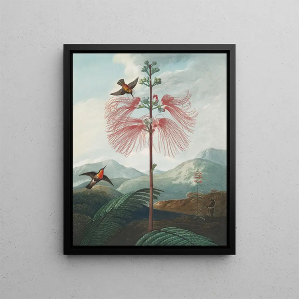 Plant met grote bloemen (conflict van naamvallen) - Robert John Thornton — ingelijst kunstwerk aan de muur