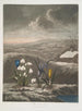 De sneeuwklokje - Robert John Thornton — weergave van het kunstwerk