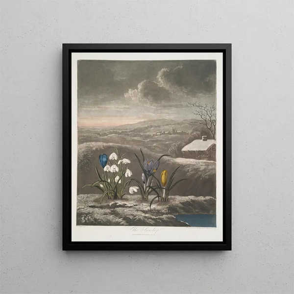 De sneeuwklokje - Robert John Thornton — ingelijst kunstwerk aan de muur