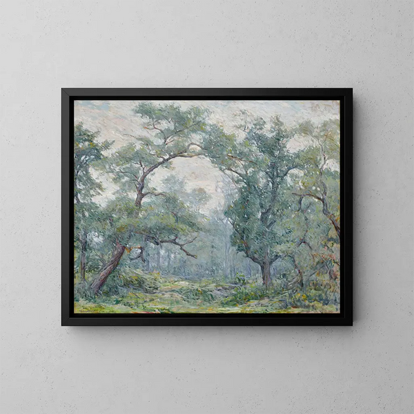 Saules anciens - Robert Reid — framed artwork on a wall