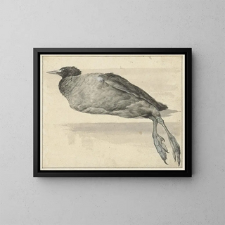 Rochus van Veen - Dode meerkoet.webp