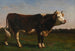 Koning van de kudde - Rosa Bonheur — weergave van het kunstwerk