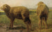 Schapen in een weide - Rosa Bonheur — weergave van het kunstwerk
