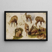 Studie van een gemzen - Rosa Bonheur — ingelijst kunstwerk aan de muur