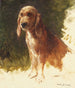 Studie van een hond - Rosa Bonheur — weergave van het kunstwerk