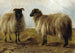 Twee rammetjes in een landschap - Rosa Bonheur — weergave van het kunstwerk