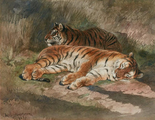 Rosa Bonheur - Two Recumbent Tigers.webp
