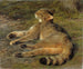 Wilde Kat - Rosa Bonheur — weergave van het kunstwerk
