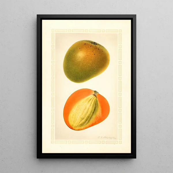 Mangifera indica Baboony - Royal Charles Steadman - Royal Charles Steadman — framed artwork on a wall