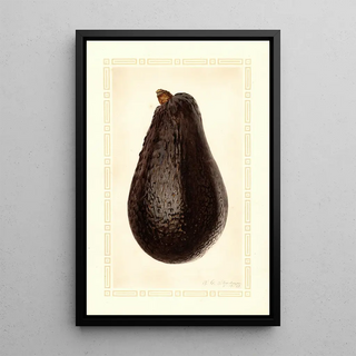 Royal Charles Steadman - Persea Thompson.webp