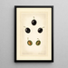 Prunus domestica Mackinan - Royal Charles Steadman - Royal Charles Steadman — framed artwork on a wall