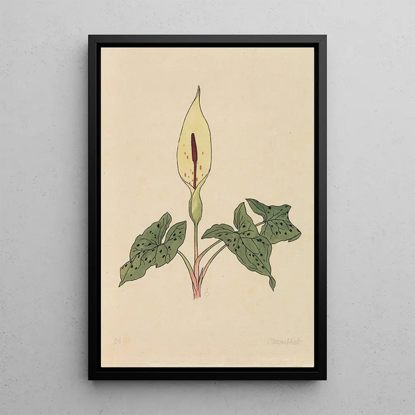 Boek van bloemen - Rudolf Koch — ingelijst kunstwerk aan de muur