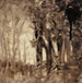 Saints Luttant dans les Arbres après la Nuit - Robert Swain Gifford — displayed in an interior