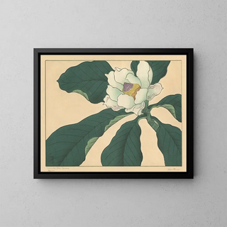 Sakai Hoitsu - Cucumber tree flowers.webp