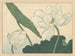 Lotus - Sakai Hōitsu — weergave van het kunstwerk