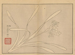 Sakai Hoitsu - Sakai Hoitsu gajo Pl10.webp