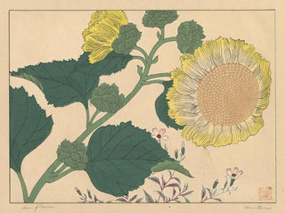 Sakai Hoitsu - Sun flowers.webp