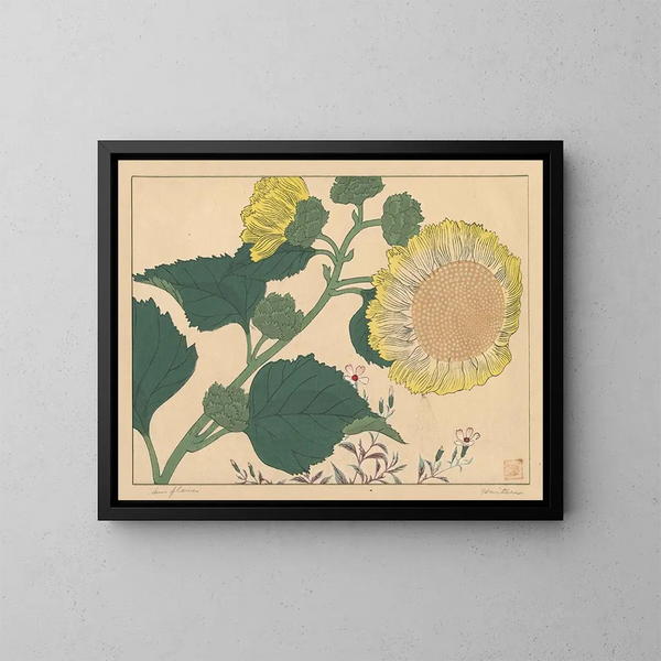 Sunflowers - Sakai Hōitsu — framed artwork on a wall
