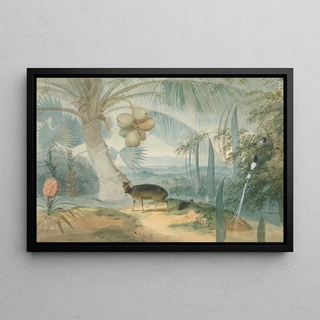 Samuel Daniell - A Landscape in Ceylon With Barking Deer and Fawn and a Pair of Paradise FlyCatchers.webp