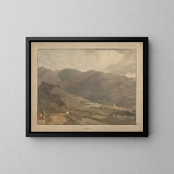 Madeira - Samuel Davis — framed artwork on a wall