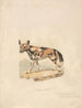 Hond Abyssin - Samuel Howitt — weergave van het kunstwerk