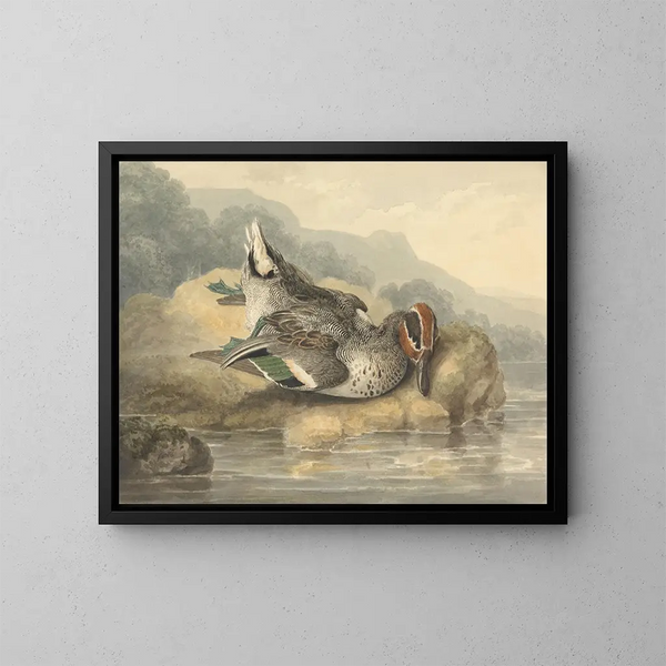 Teal mort - Samuel Howitt — framed artwork on a wall