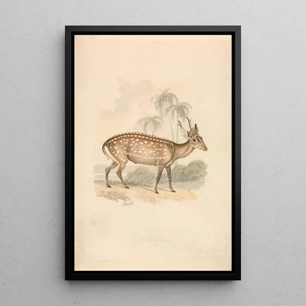 Deer-pig - Samuel Howitt — framed artwork on a wall