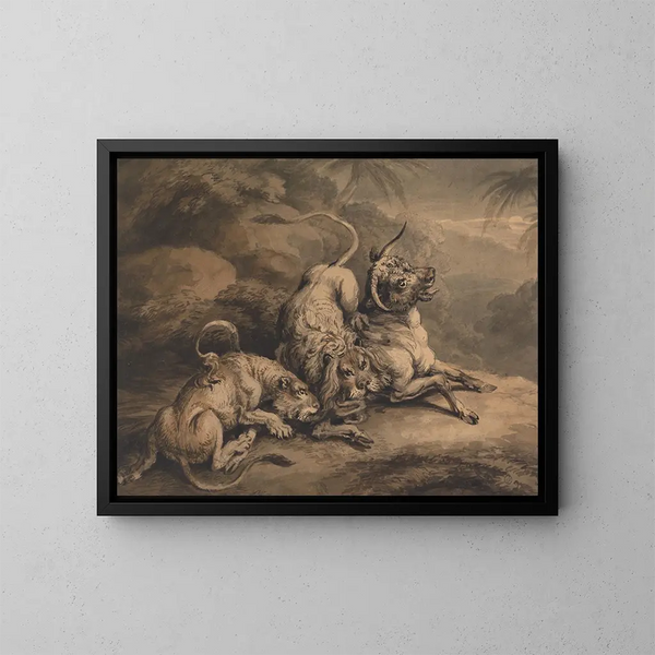 Lion and lioness attacking a ox - Samuel Howitt — framed artwork on a wall
