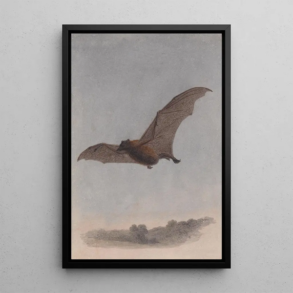 Study of a Vampire Bat - Samuel Howitt — framed artwork on a wall