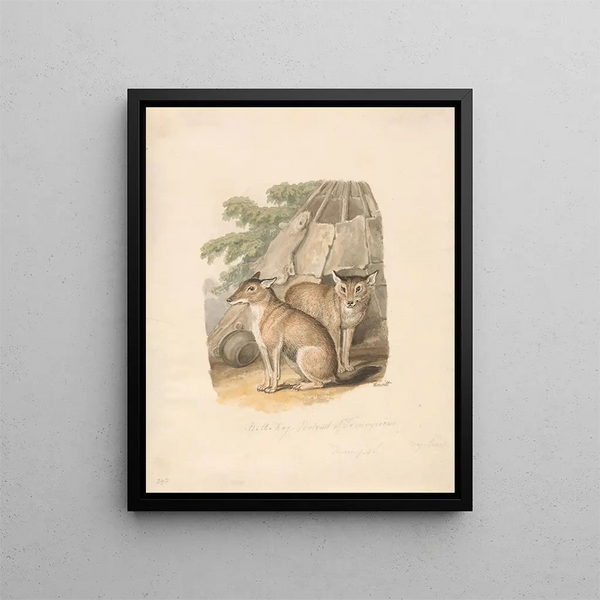 Twee husky's - Samuel Howitt — ingelijst kunstwerk aan de muur
