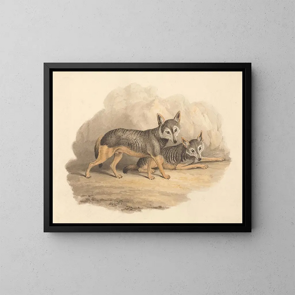 Twee hyena's - Samuel Howitt — ingelijst kunstwerk aan de muur