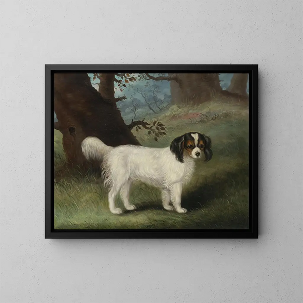 King Charles Spaniel - Samuel Spode — ingelijst kunstwerk aan de muur
