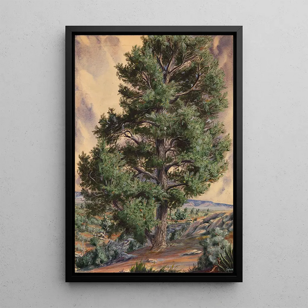 Pin - Sandow — ingelijst kunstwerk aan de muur