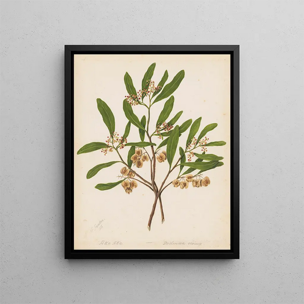 Forever - Sarah Featon — framed artwork on a wall