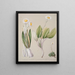 Celmisia - Sarah Featon — framed artwork on a wall