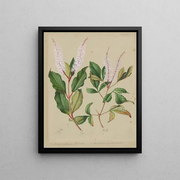 Werk rood - Sarah Featon — ingelijst kunstwerk aan de muur
