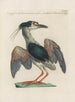 L'ornithologie a méthodiquement gedigestieerd Pl404 - Saverio Manetti — weergave van het kunstwerk