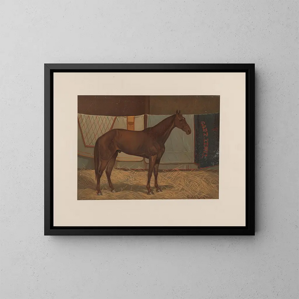 Captain Lewis - Scott Leighton — framed artwork on a wall