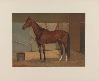 Scott Leighton - Clingstone.webp