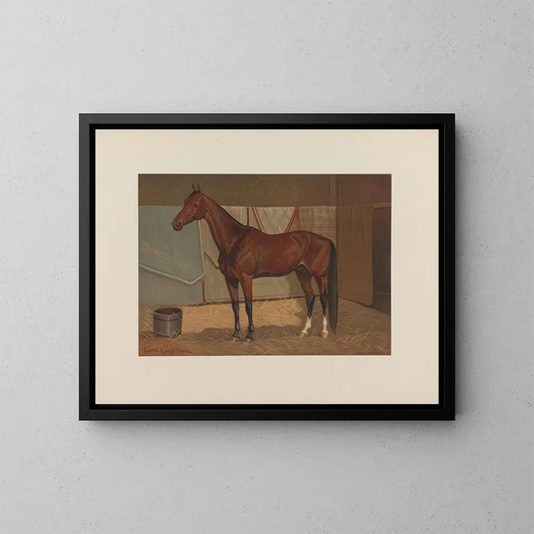 Clingstone - Scott Leighton — framed artwork on a wall