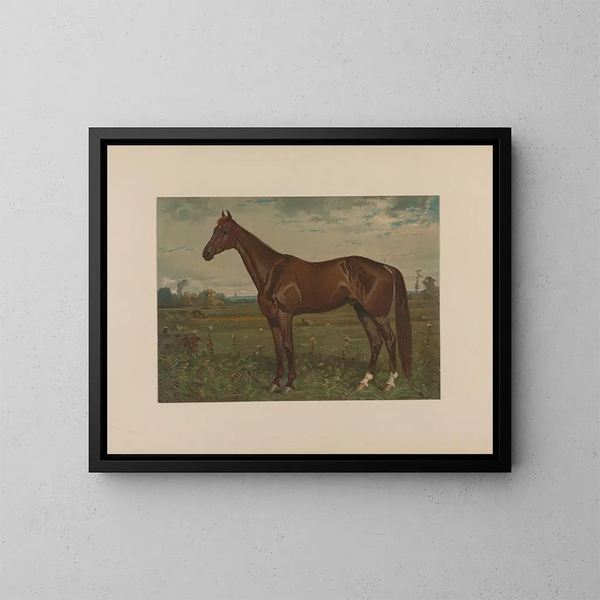 Edwin Thorne - Scott Leighton — framed artwork on a wall
