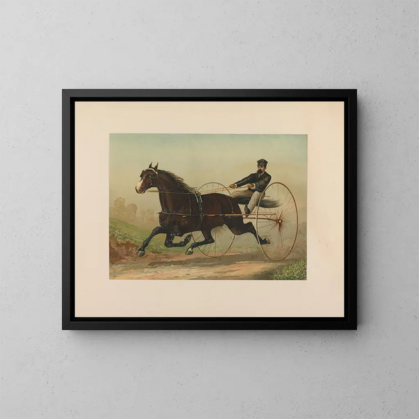 Smuggler - Scott Leighton — framed artwork on a wall