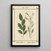 Atlas des planten voor Ma cure d'eau Pl13 - Sebastian Kneipp — ingelijst kunstwerk aan de muur