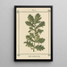 Atlas des plantes pour Ma cure d'eau Pl22 - Sebastian Kneipp — framed artwork on a wall