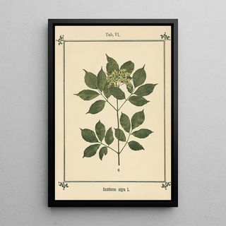 Sebastian Kneipp - Plantatlas to My watercure Pl26.webp